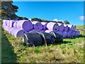 SK0957 : Straw bales with faces at Broad Ecton Farm by Ian Calderwood
