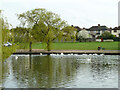 Lake, Harrow Lodge Park