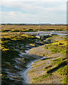 TL9710 : Channel through the mud, Tollesbury Wick Marshes by Roger Jones
