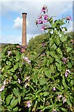 SO8352 : Powick Mill chimney by Philip Halling