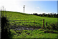 Muddy entrance to field, Lisboy