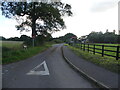 Looking down Rectory Road with no entry signs