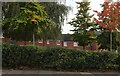 New houses on Birchfield Road East, Northampton