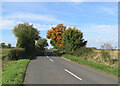 TL6253 : Towards Weston Colville on Brinkley Road by John Sutton