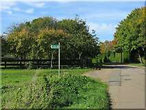 TL6353 : The start of a footpath at Willingham Green by John Sutton