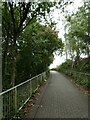 Foot and cycle path through Penarth Flats