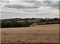 Farmland in the Gladder Brook valley