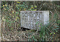 NT6342 : Gordon Feuars Moss by Walter Baxter