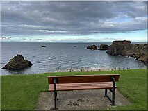 NT6779 : A Seat with a View of the Doo Rock Dunbar by Jennifer Petrie