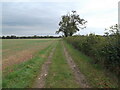 Field path near Tuft House Farm