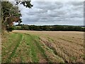 The Worcestershire Way towards Bewdley