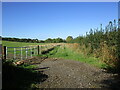 Footpath off Priory Road, Chilton Polden