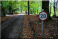 Entrance road to car park, Seskinore