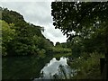 River Taff and Mynydd Wood on the left