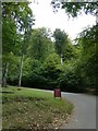 Entrance road to Castell Coch