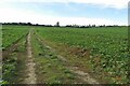 Farm track up to the byway