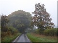 Country road near Winstone