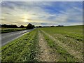 Evening on Anchor Lane