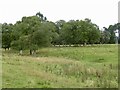 Field, Eglinghamhill