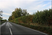 SP8755 : Yardley Road north of Olney by David Howard