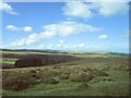 Chagford Common