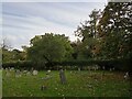 Autumn in Trotton Churchyard