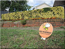 ST5191 : Bee Friendly on Bailey's Hay by Neil Owen
