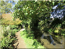 SP1620 : Path by the River Windrush, Bourton on the Water by Jonathan Thacker