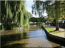 SP1620 : The River Windrush, Bourton on the Water by Jonathan Thacker