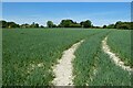 Farmland, Binsted