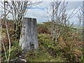 Morfa Trig Point Flush Bracket S1999