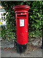 Elizabeth II postbox on Hill Lane