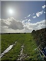 Grazing field near Llwyn-Melyn Trig Point