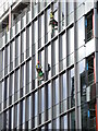 High quality window cleaning