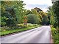 Netherfield Lane, Thoresby Park