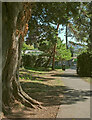 Path near Torre Abbey