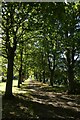 Path near St. Lawrence Court