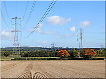 SJ7601 : Pylons and power lines crossing farmland near Beckbury, Shropshire by Roger  D Kidd