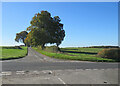 A crossroads on Brinkley Road