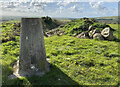 Mynydd Bach Trig Point Flush Bracket S6675