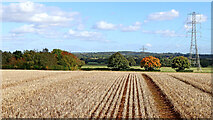 SJ7601 : Shropshire farm land south of Beckbury by Roger  D Kidd