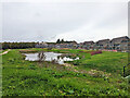 Balancing pond, Woodgate, Pease Pottage