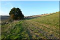 Farmland, Ramsbury