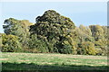 Field north of Fyfield Manor