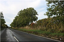 SP8754 : Yardley Road north of Olney by David Howard