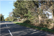 TL0136 : Fordfield Road, Flitwick by David Howard