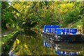 Winsley : Kennet & Avon Canal