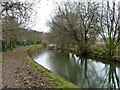 New River, north of Lordship Road, 2011