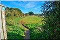 Bradford-on-Avon : Grassy Field