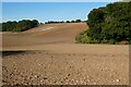 Farmland, Sonning Common